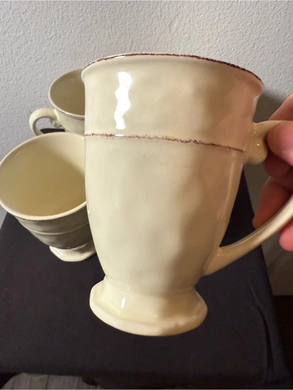 4 Pier 1 Martillo Creme Brulee 14oz Mugs.